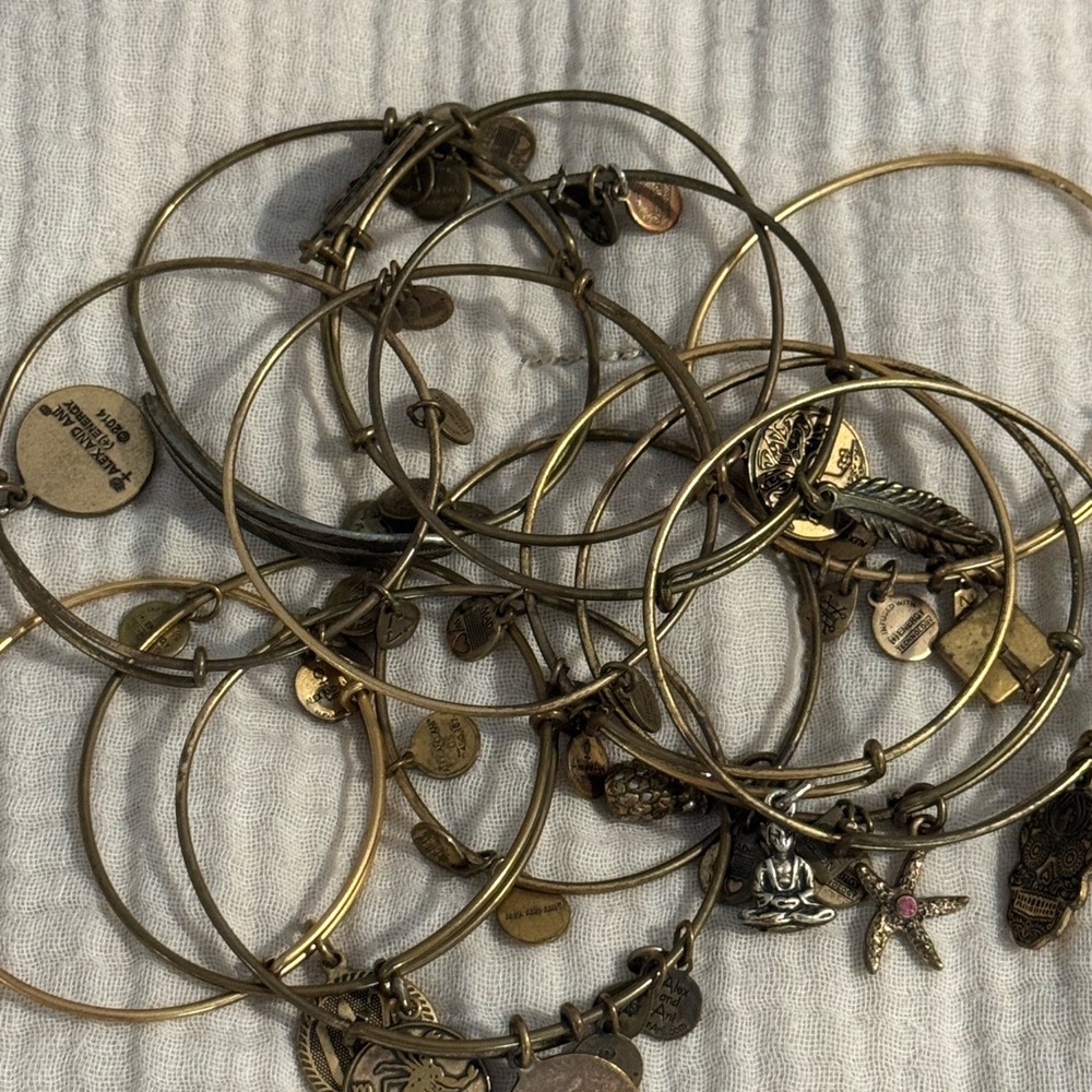 Alex and Ani Gold Charm Bracelet Assortment